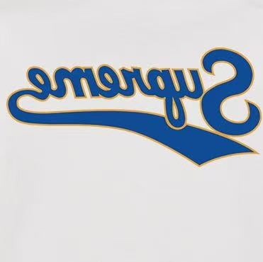 Supreme Mirrored Script Back Print Hoodie