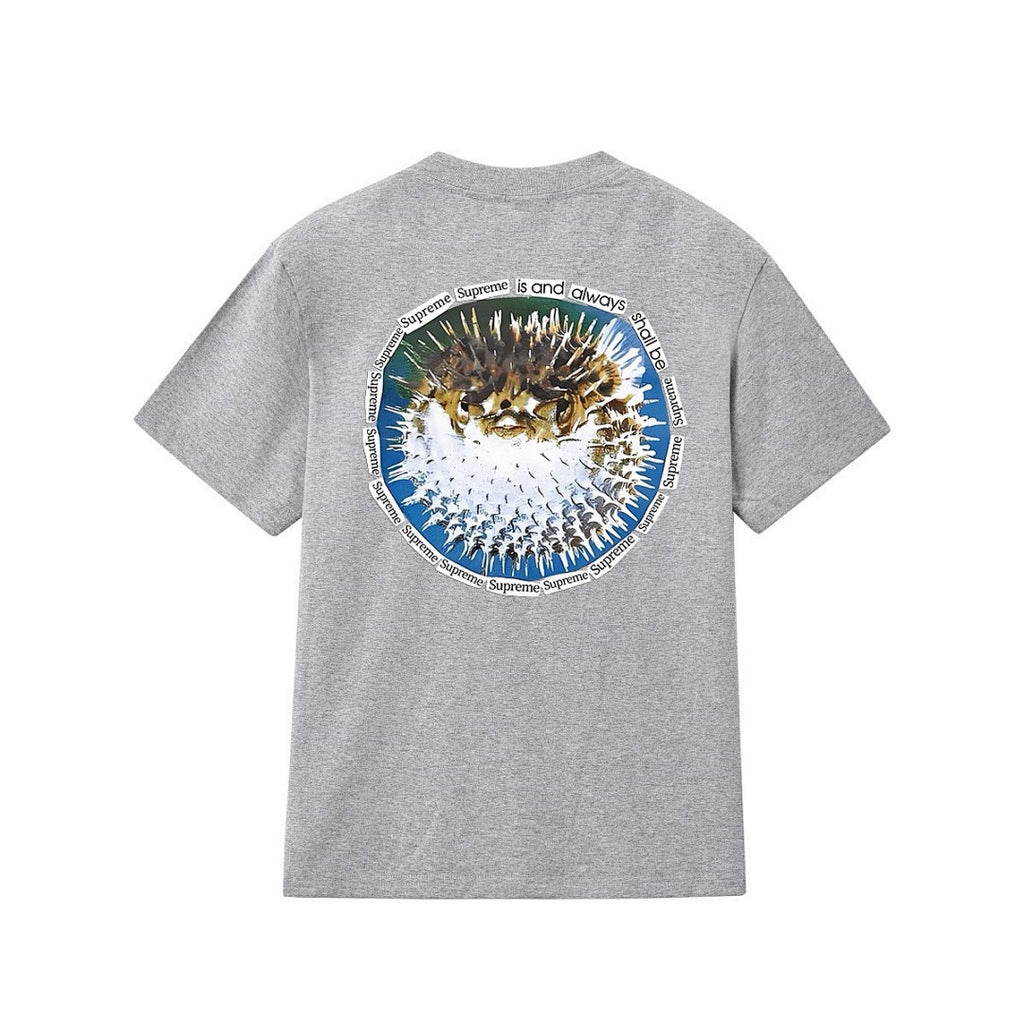 款号M229#p40💰 Supreme SS23 WEEK18系列 BLOWFISH TEE 字母图案印花圆领套头短袖T恤 男女同款 宽松版型 采用260克精梳棉双纱 从面料到辅料全部三标齐全跟足 - view 12